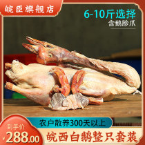 Six Anlian Salty Goose Countryside Loose Raising Wan West Big White Goose Farmhouse Cured Pai Goose Large Bag Air-dried Goose With Gizzard Paw Whole Dress