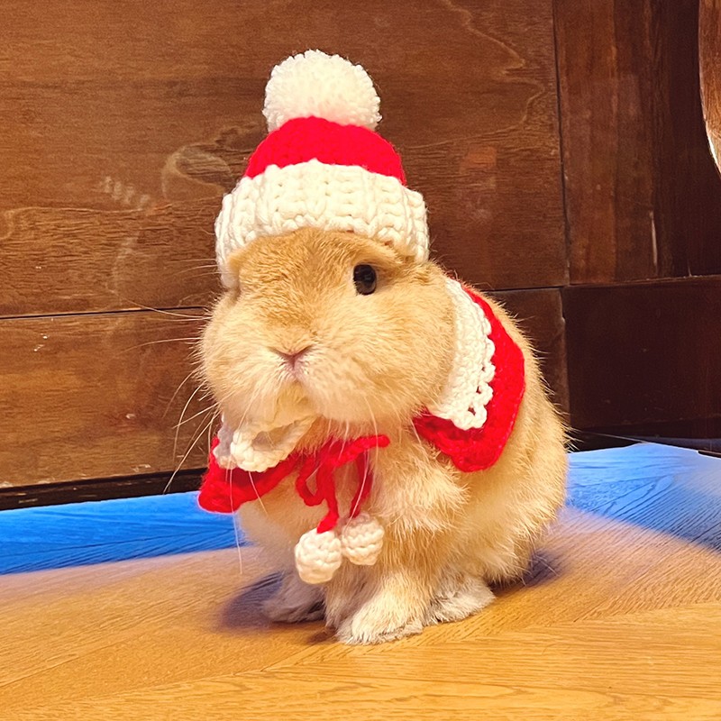 Rabbit New Year's shirt clothes tie hat traction rope