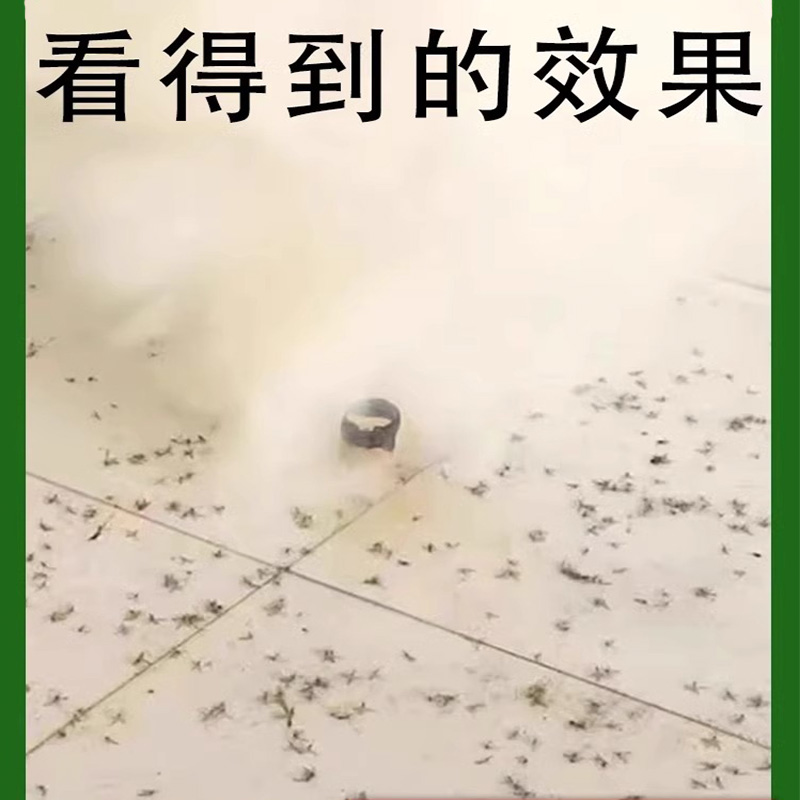 灭蚊烟雾片室内强力灭蚊神器非无毒杀飞虫子苍蝇一扫光蚊香无味pt-图0