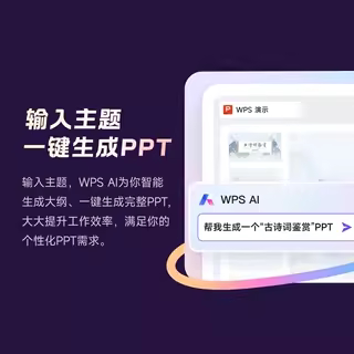 【会员升级】 WPS超级会员升级WPS大会员12个月 享260+权益 - 图2
