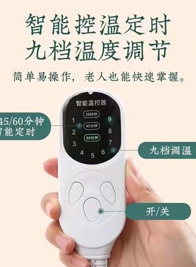 电热毯艾灸艾草海盐家用垫子