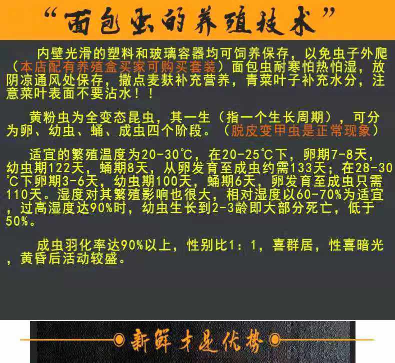 面包虫活虫 鲜活黄粉虫鹦鹉龙鱼乌龟鸟食仓鼠蜥蜴活体宠物饲料,淘宝优惠券,粉丝福利购,淘宝优惠卷