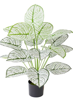 仿真绿植盆栽18头北欧风创意室内绿植室内居家装饰摆件