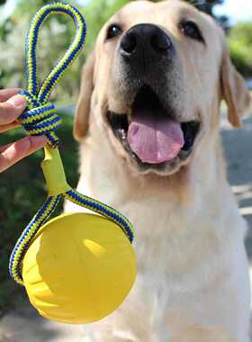 Doesn't hurt your teeth, molar dog toy, rubber cleaning toy