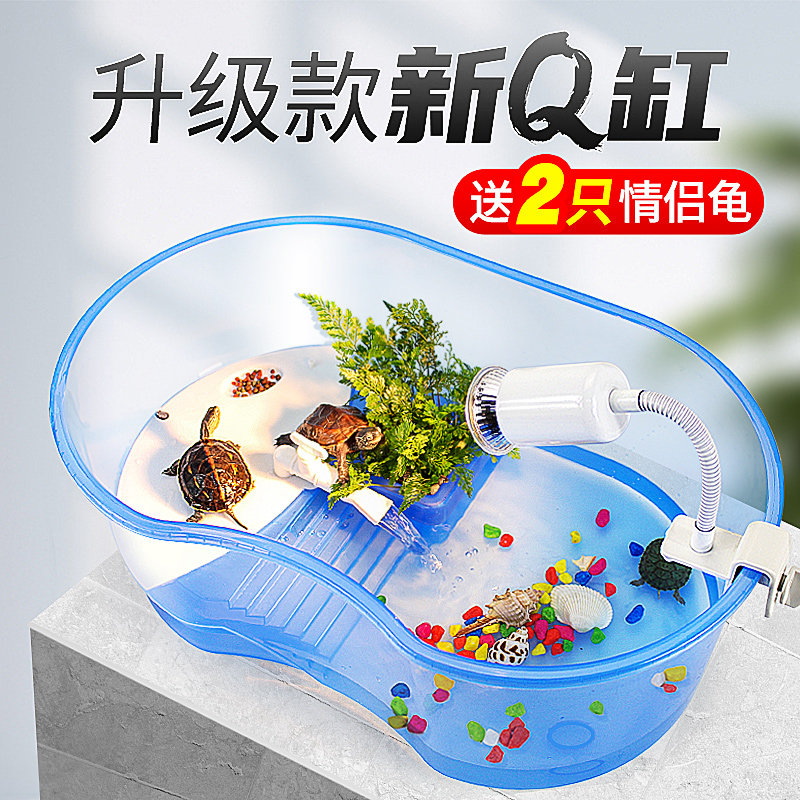 送2只小乌龟巴西龟带缸龟缸活物活体乌龟缸带晒台龟盆宠物龟草龟,淘宝优惠券,粉丝福利购,淘宝优惠卷