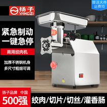 Yangzi Meat Grinder Commercial Standing Stainless Steel Electric High Power Multifunction Home Twisted Filling Sausage Crub Meat Machine