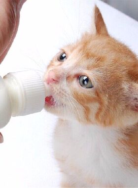 50ML Puppy Kitten Feeding Bottle Set Pet Dog Cat Bady