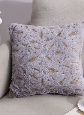 Double Side Soft Throw Pillow Cover,Home Pillow Case