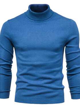 New Winter Turtleneck Thick Mens Sweaters Casual Turtle Neck