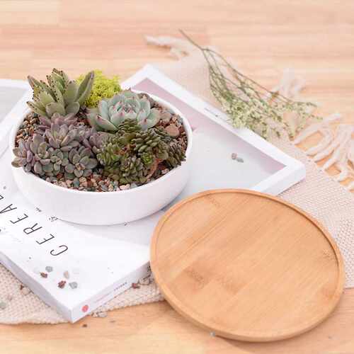 1 Set Minimalist Ceramic Succulent Plant Pot White - 图3