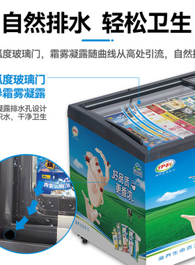 冰淇淋雪糕柜弧面玻璃门展示柜