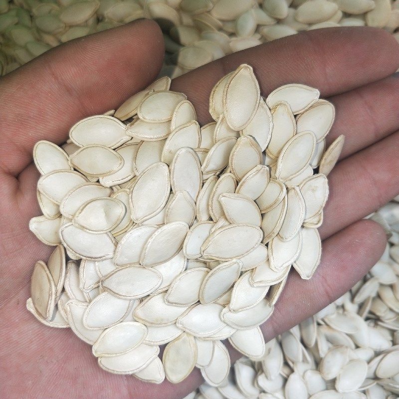 大片白南瓜子500g散装盐焗干炒椒盐味纸皮瓜籽小零食坚果炒货袋装,淘宝优惠券,粉丝福利购,淘宝优惠卷