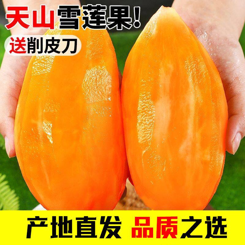 现货!云南天山雪莲果新鲜水果当季应季黄心特级9斤装孕妇大果红泥,淘宝优惠券,粉丝福利购,淘宝优惠卷