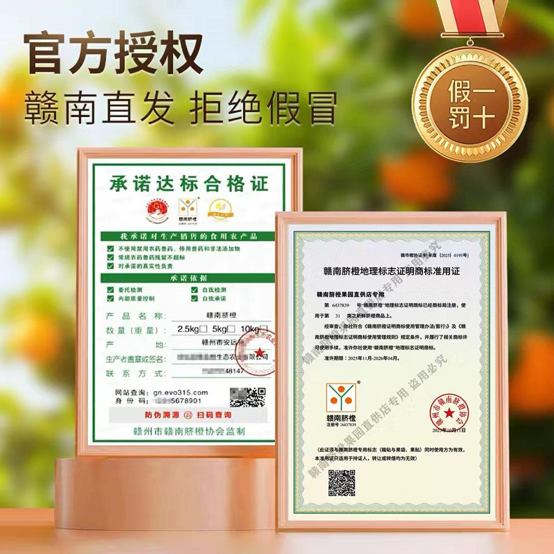 新鲜采摘正宗江西赣南脐橙当季水果赣州直发手剥甜橙子特大果10斤