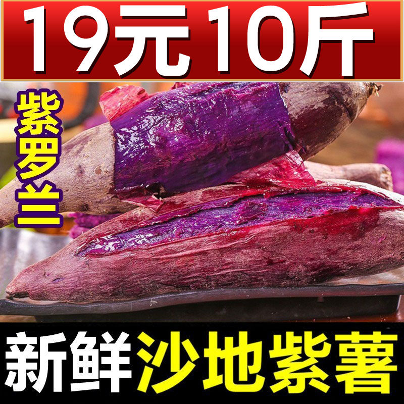 特级沙地紫薯10斤新鲜糖心蜜薯板栗 黄六爷生鲜番薯