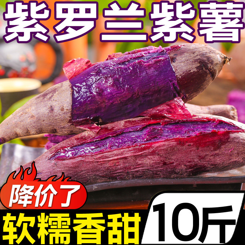 特级沙地紫薯10斤新鲜糖心蜜薯板栗 黄六爷生鲜番薯
