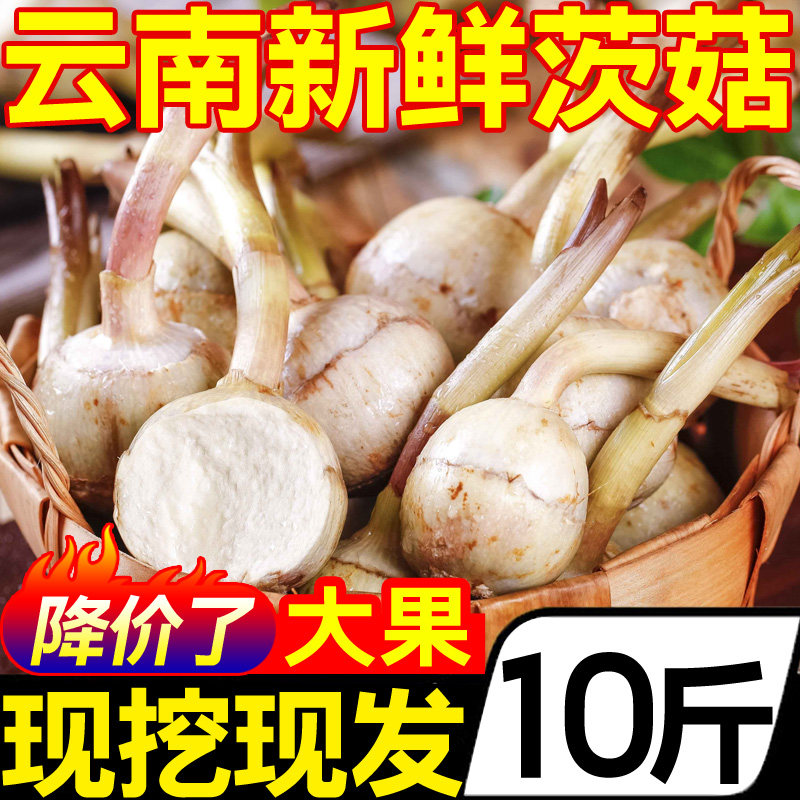  黄六爷生鲜其它