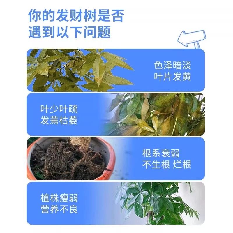 发财树肥料专用肥绿植物家用室内盆栽水培黄枯叶通用营养液水溶肥,淘宝优惠券,粉丝福利购,淘宝优惠卷