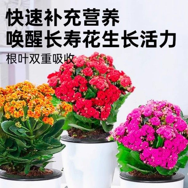 长寿花专用肥料不开花专用花肥阳台养花长寿花催花促花专用营养液,淘宝优惠券,粉丝福利购,淘宝优惠卷