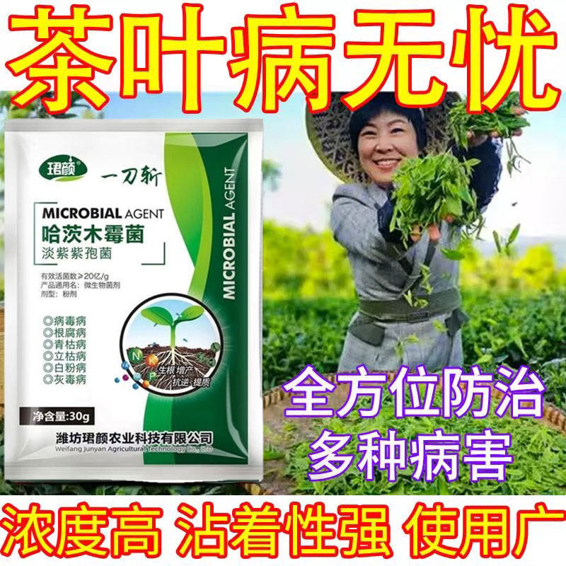茶叶病全治茶树病专用药黄叶病枯萎病茶饼病芽枯病通用强效杀菌剂,淘宝优惠券,粉丝福利购,淘宝优惠卷