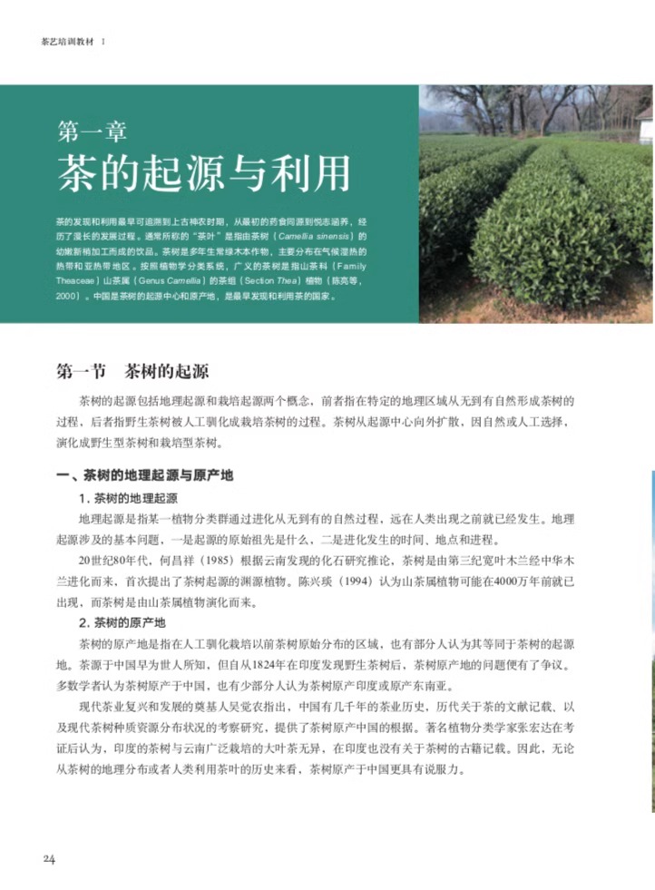 【央视网】茶艺培训教材Ⅰ 周智修 茶的起源与利用 茶树的基本特征 茶叶的分类与品质特征 茶叶感官审评基础 六大茶类的品质特征NY - 图0