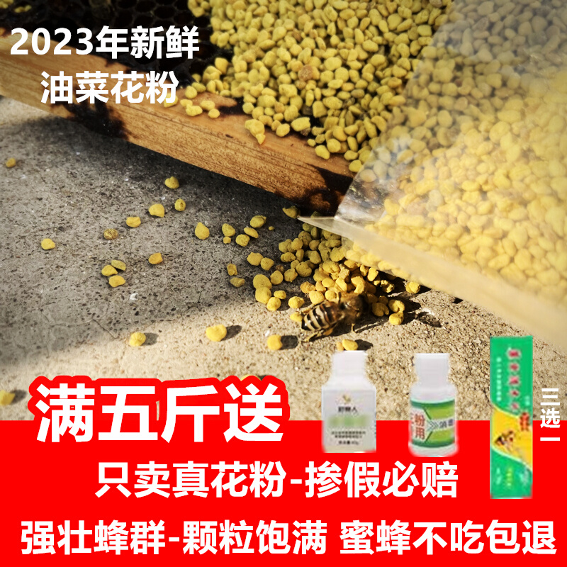 花粉喂蜂 养蜂 2023年新花粉颗粒油菜杂粉喂蜜蜂花粉越冬饲料花粉