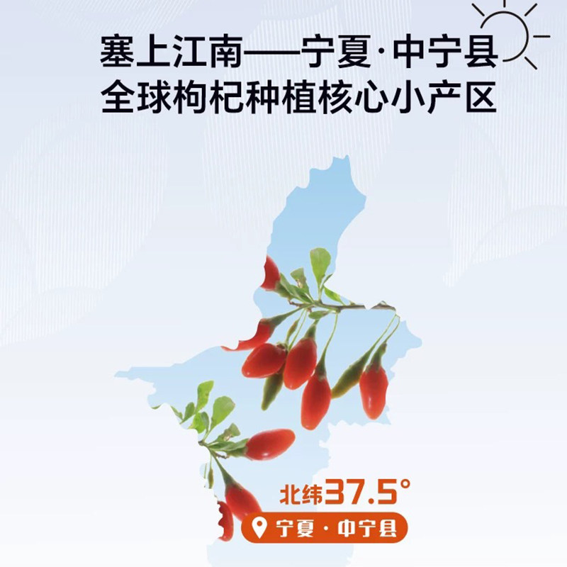 国杞天香枸杞原浆210ml