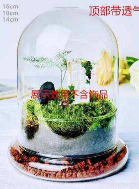 城懿玻璃永生花微景观玻璃摆件