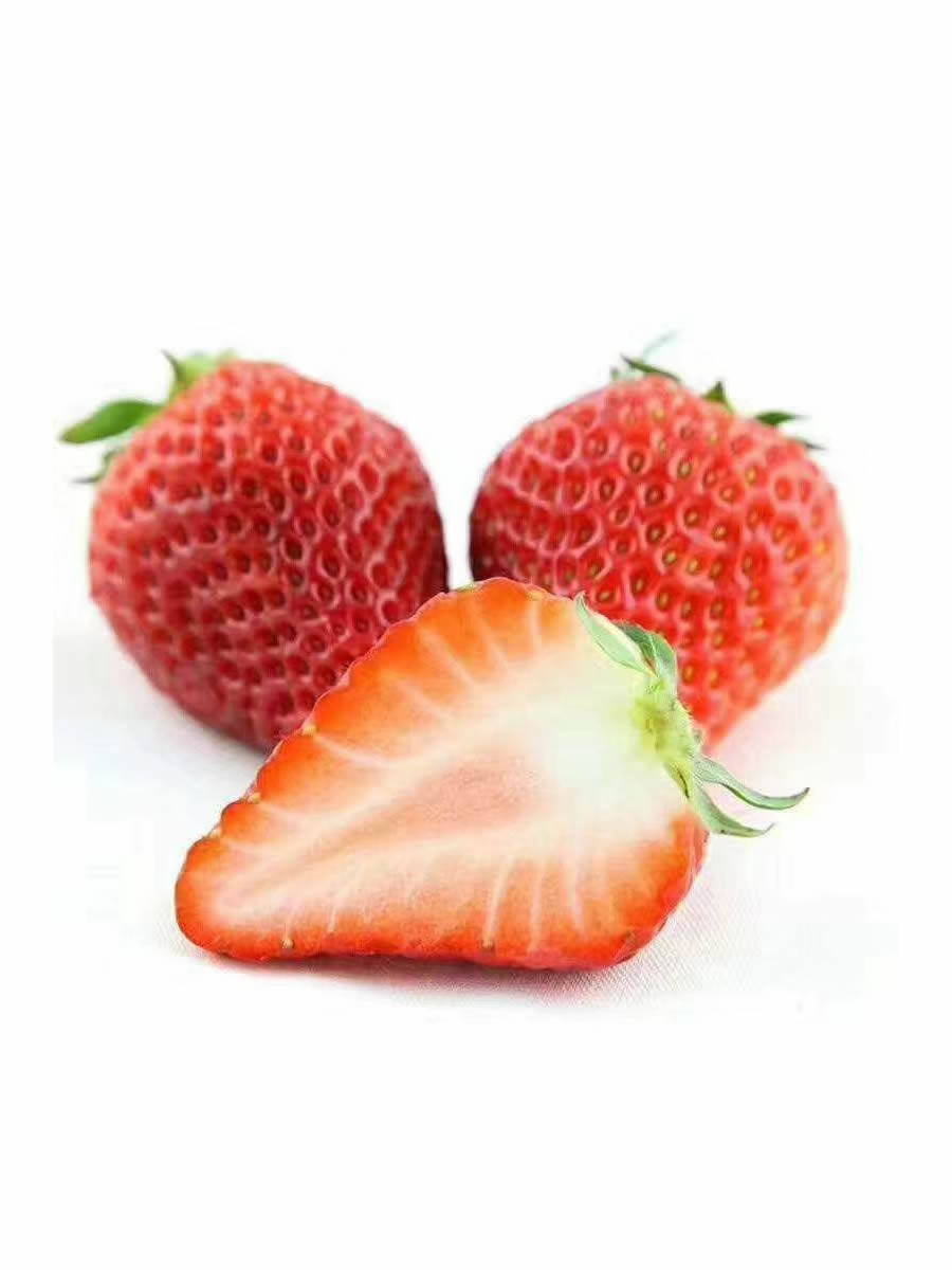 丹东99草莓苗辽宁东港九九红颜四季奶油草莓秧常绿结果阳台盆栽,淘宝优惠券,粉丝福利购,淘宝优惠卷