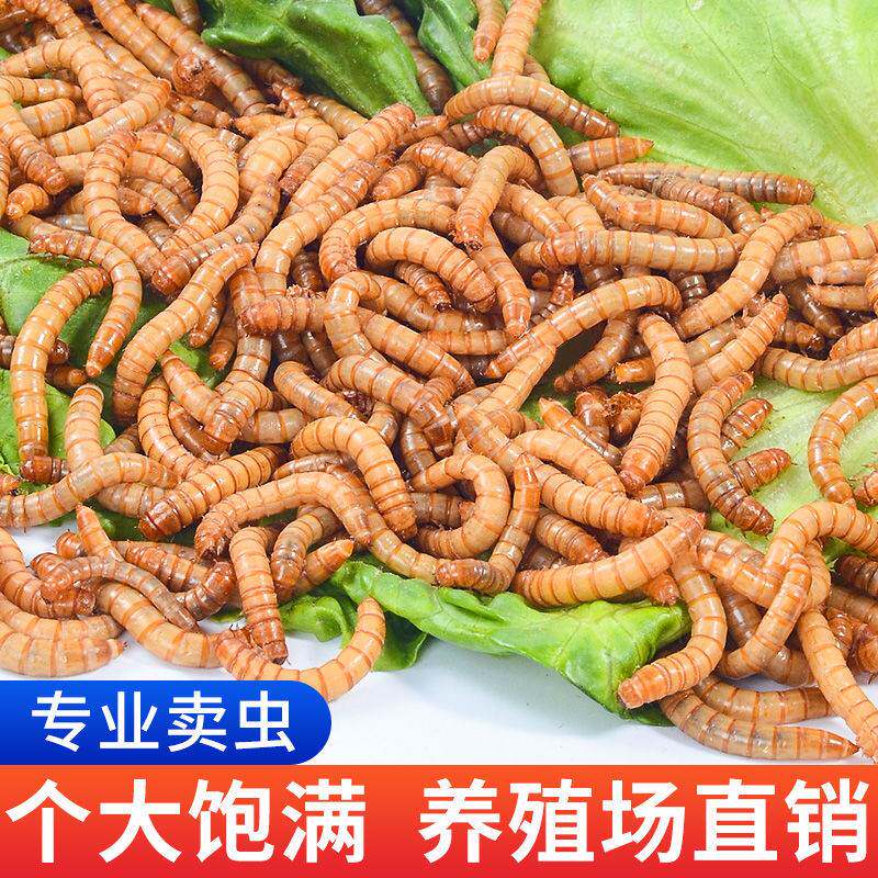 图3