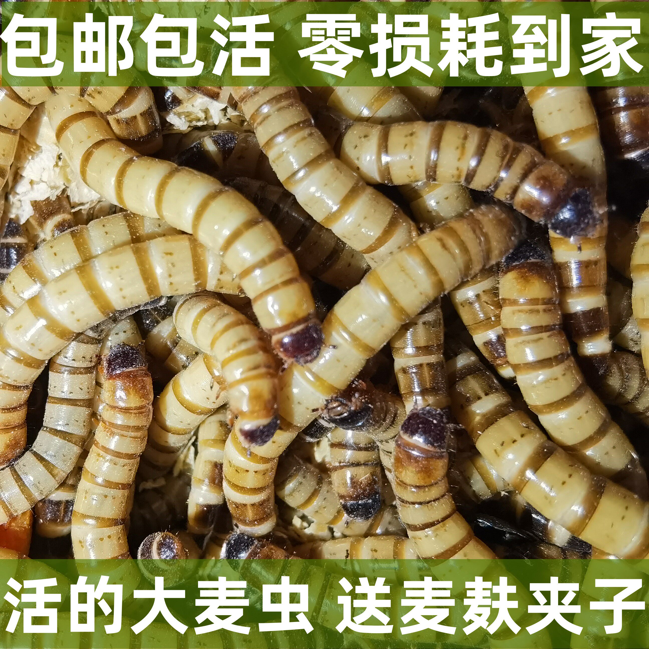 图3