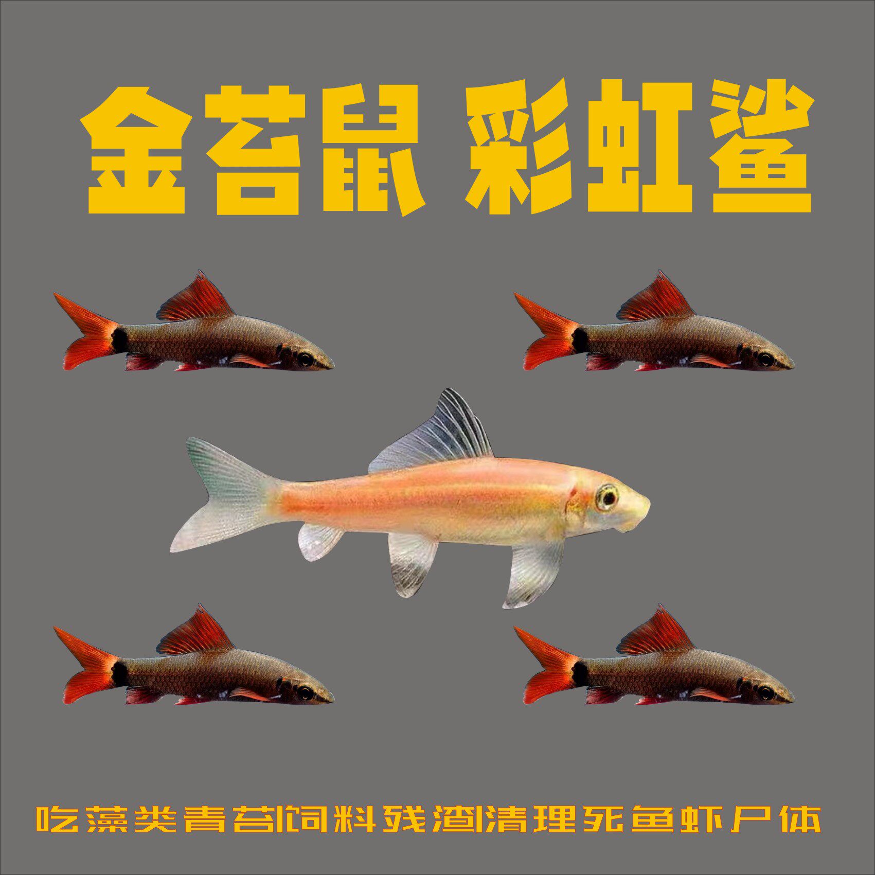 图5