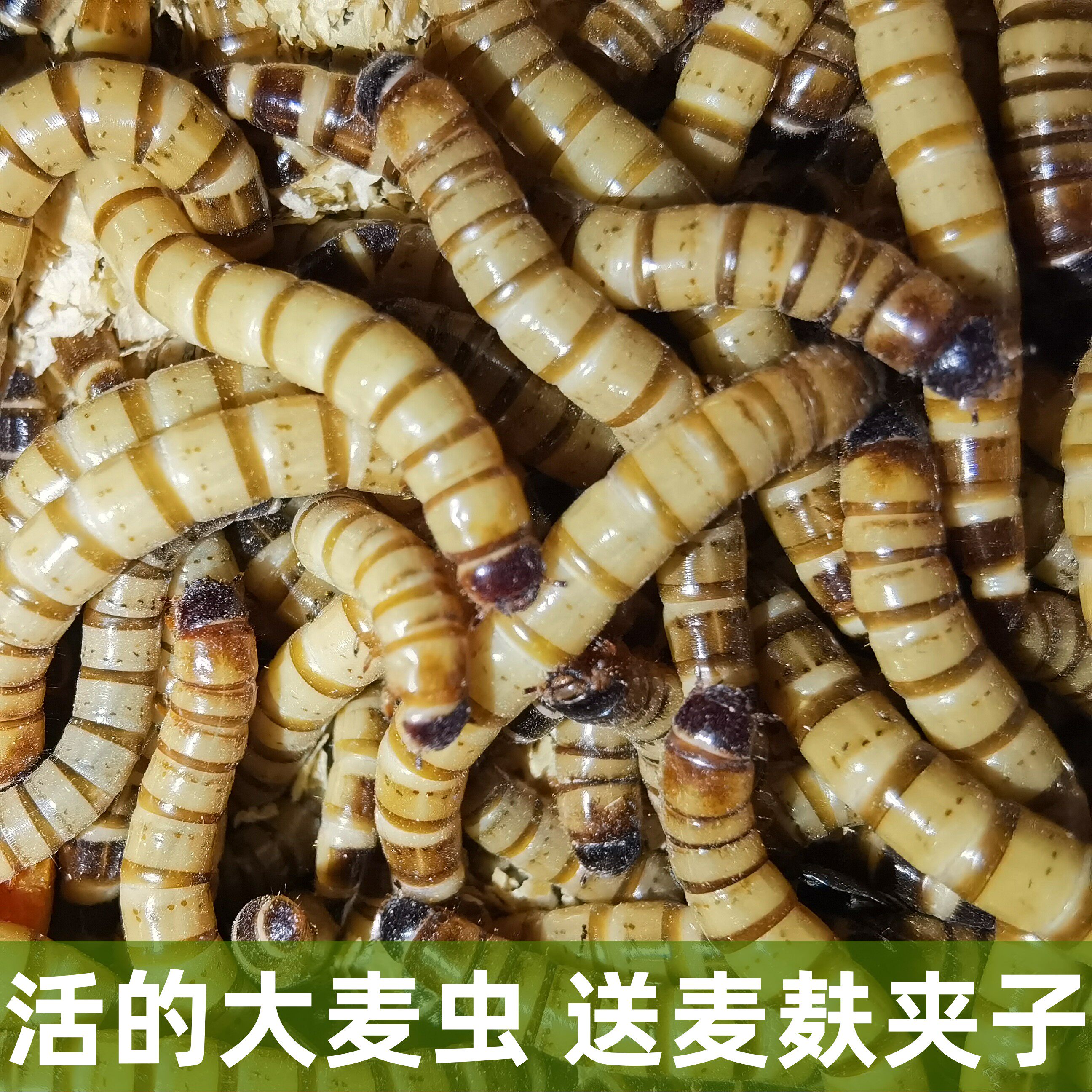 图5