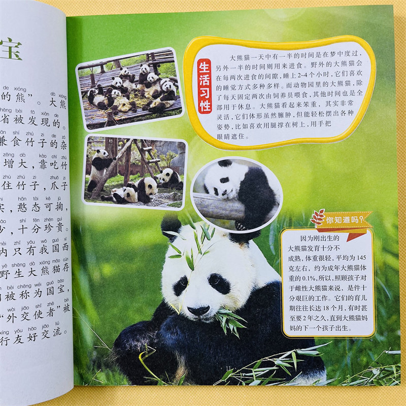 动物世界植物世界百科全书幼儿动物绘本宝宝早教认知动物大全大图大字认识动物图片儿童海洋百科全书海洋生物百科全书海底世界绘本