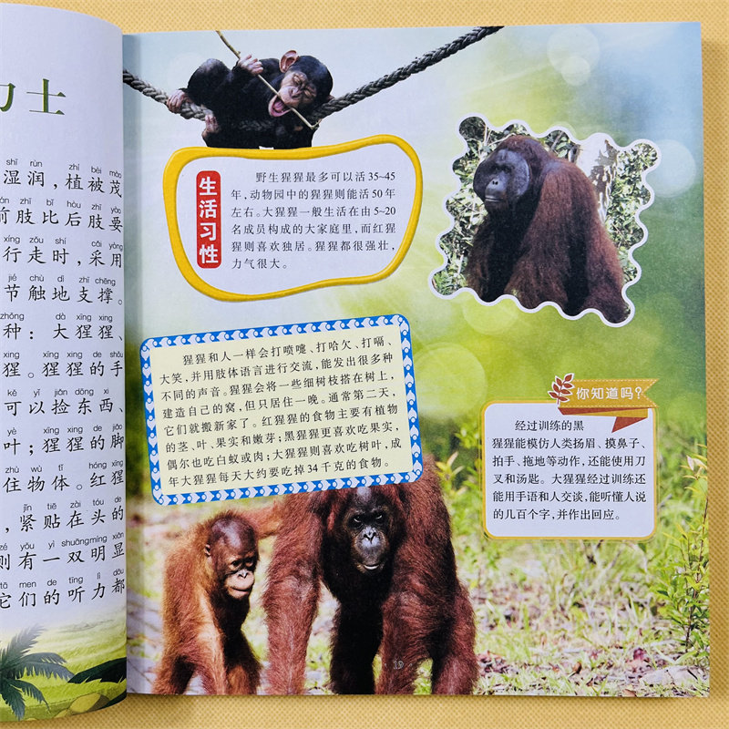 动物世界植物世界百科全书幼儿动物绘本宝宝早教认知动物大全大图大字认识动物图片儿童海洋百科全书海洋生物百科全书海底世界绘本
