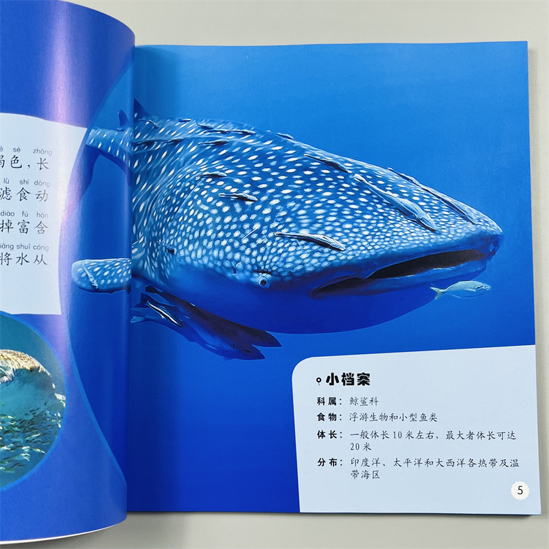 海洋野生动物百科2册注音一二三年级小学生语文课外阅读书籍6-7-8-9岁儿童课外读物带拼音儿童海洋科普知识故事书野生动物彩图版
