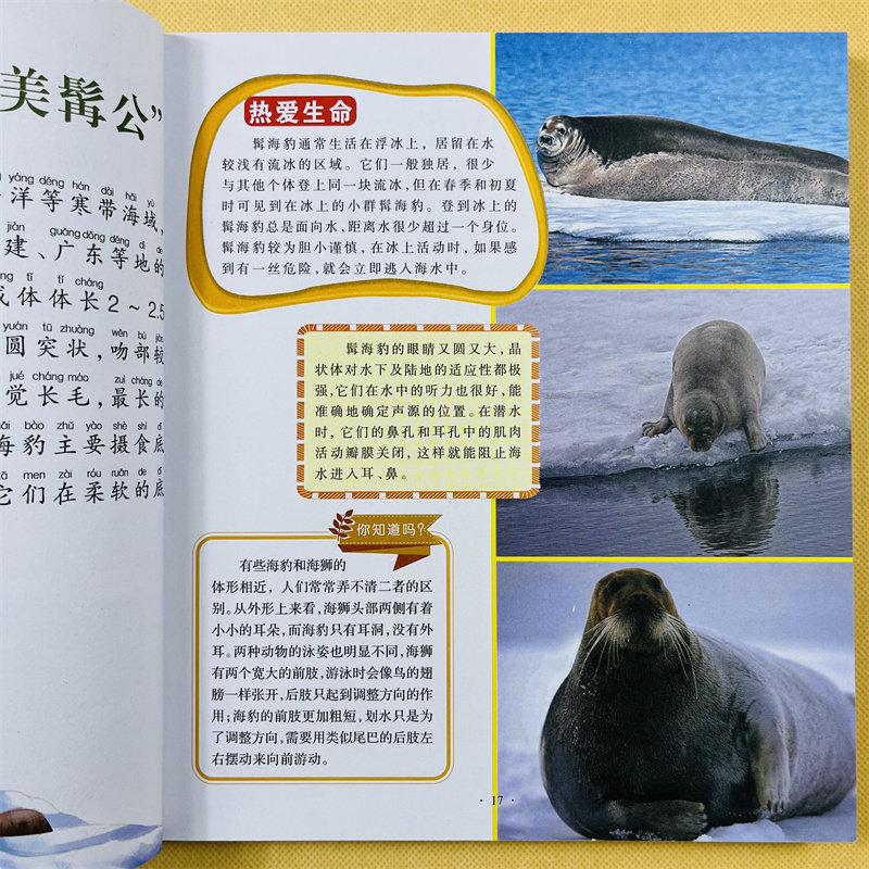 儿童海洋百科全书海洋生物百科全书海底世界绘本海洋世界书籍海洋书海底图片认知幼儿关于海里的动物的书海洋8小学生课外书