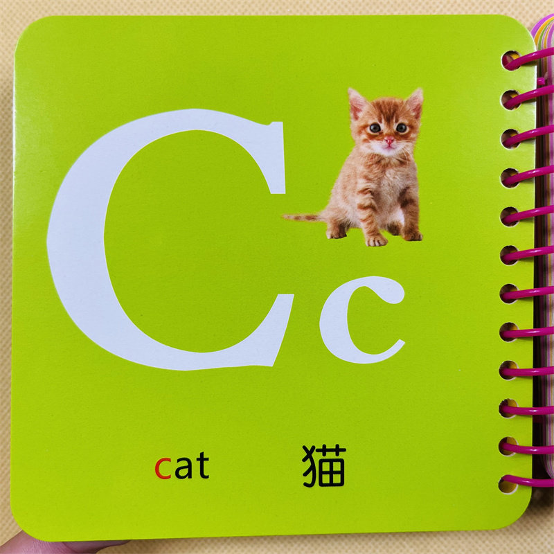 宝宝撕不烂幼儿英语启蒙卡片儿童认英文字母识字卡 英文26个字母大小写撕不烂英语单词卡片 宝宝早教认知简单零基础婴儿英语教具