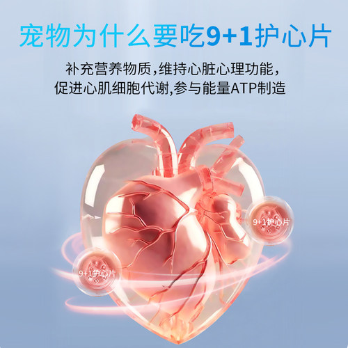 派迪诺宠物辅酶Q10猫咪狗狗保护心脏健康辅助调理强心脏老年犬用 - 图0