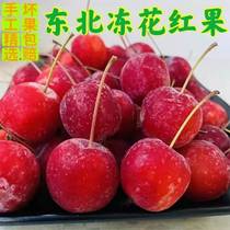 Northeast Freeze Flowers Red Fruits Sea Apple ursolic sweet and juicy flowers red as a little taste frozen flower red fruits