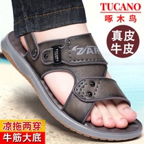 Woodpecker Birds Male Sandals Official Mens Leather Cool Tug-Toe Beach Shoes Soft Bottom Driving Leather Sandals Shoes