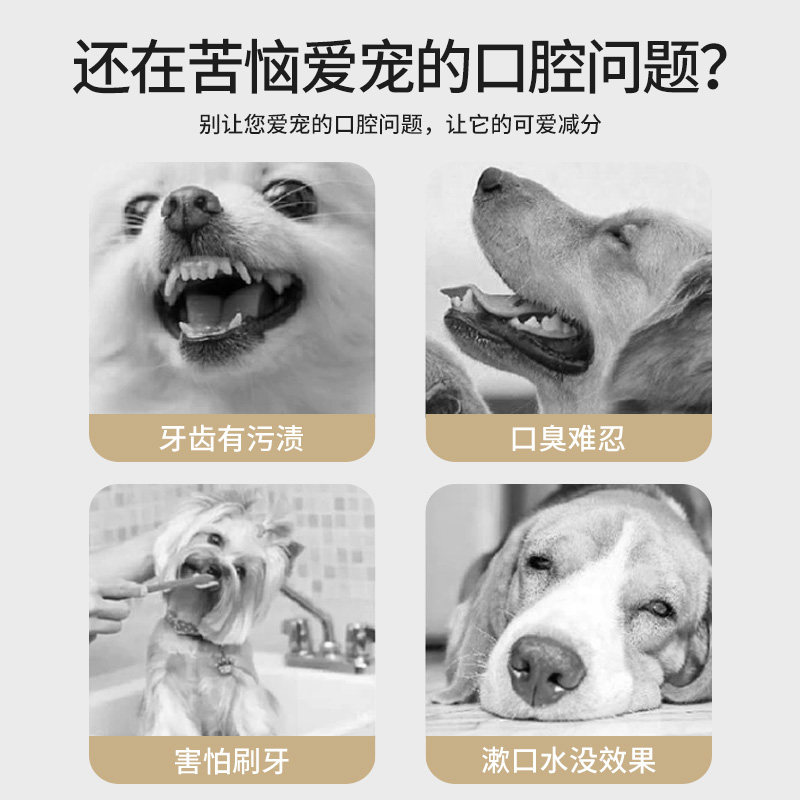 宠物猫咪狗狗牙刷狗形牙膏牙垢口臭牙结石泰迪柯基口腔清洁用品,淘宝优惠券,粉丝福利购,淘宝优惠卷