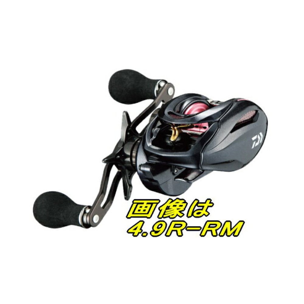 日本直邮Daiwa Reel'17 Beniga TW 4.9L-RM左手柄-图0