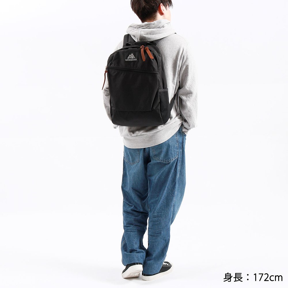 格雷戈里背包GREGORY CLASSIC Casual Day V2 CASUAL DAY V2 Ruck - 图2