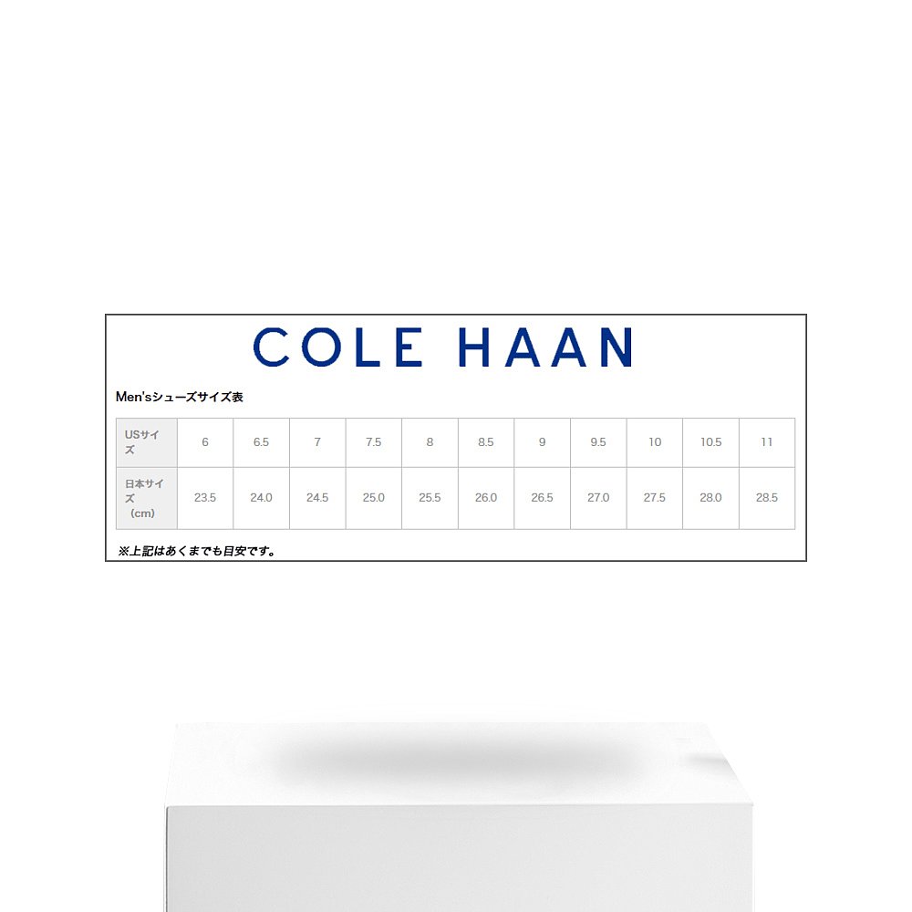 日本直邮COLE HAAN ZEROGRAND 4ZG全天滑动凉鞋桦木 c35065男士-图3