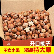 New cargo opening large hazelnut 500g extra-large grain original taste nut thin skin fried cooked Tohoku Terrific snacks 250g