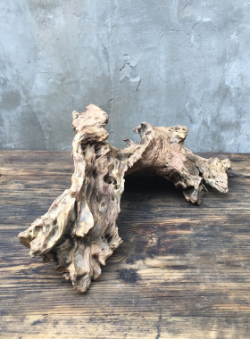 树根老树桩枯木风化木根艺摆件