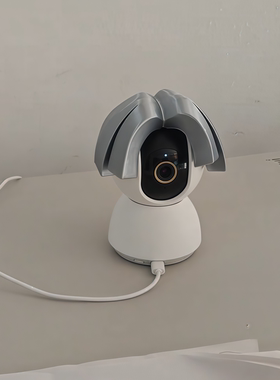 ikun鸡哥3D打印整蛊监控装饰