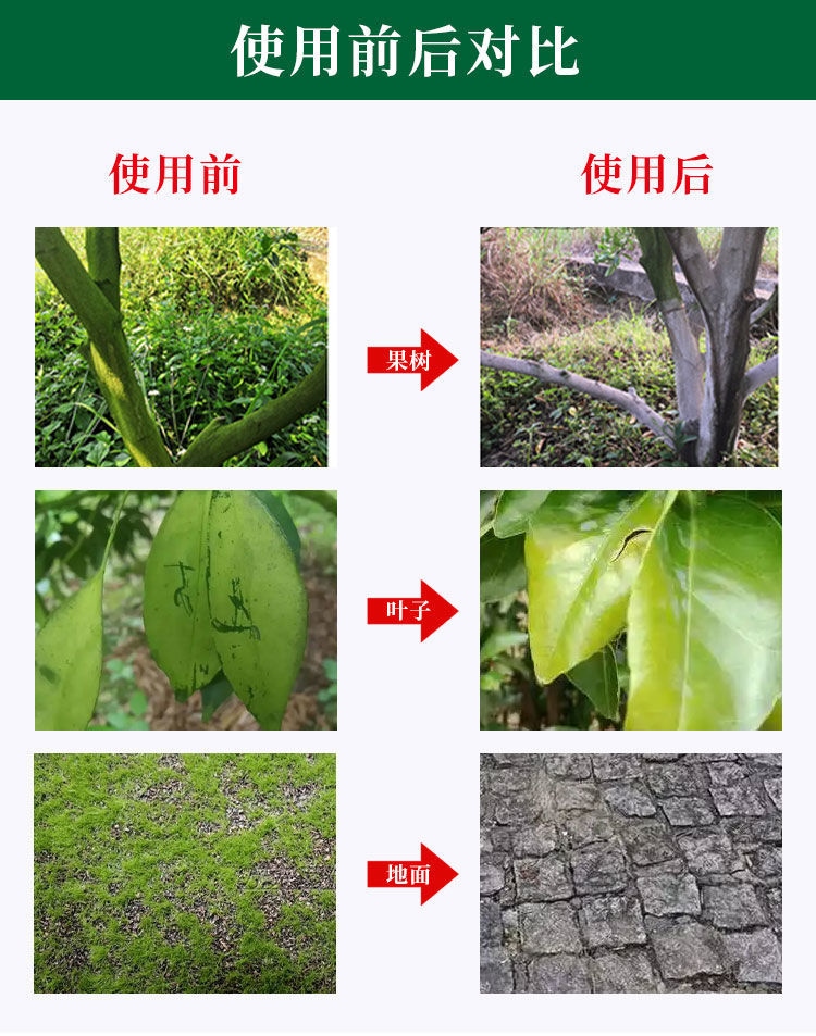 青苔助剂果树青苔清除剂柑橘树杀青苔专用橙子杨梅柚子果树青苔净-图0