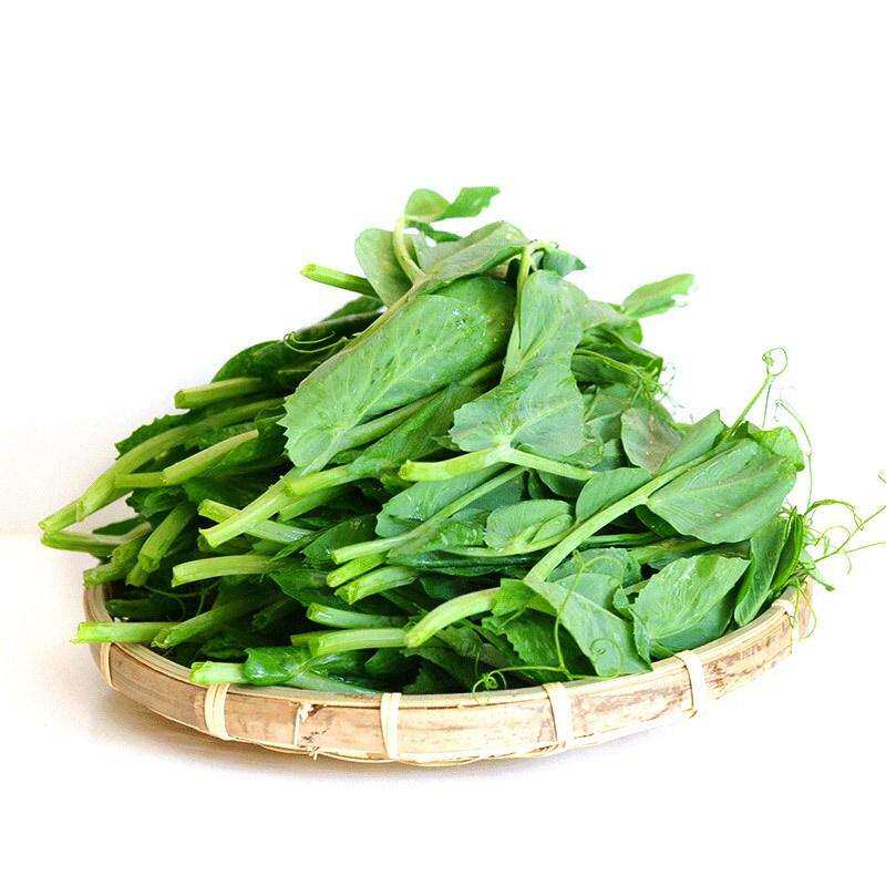 顺丰包邮现摘四川新鲜豌豆尖豌豆苗时令蔬菜应季蔬菜煮汤火锅食材